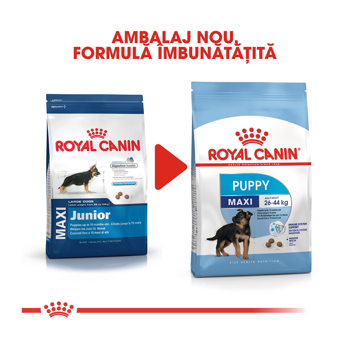 Royal Canin Maxi Puppy | Hrana umeda pentru catei de talie mare
