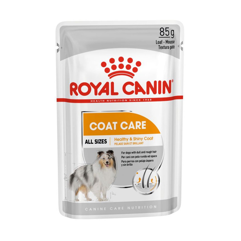 nitrogen Imperative Efficient Royal Canin Coat Care Loaf | Hrana pentru caini cu blana terna si aspra